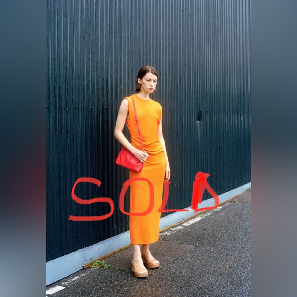 Zara Side Draped Dress